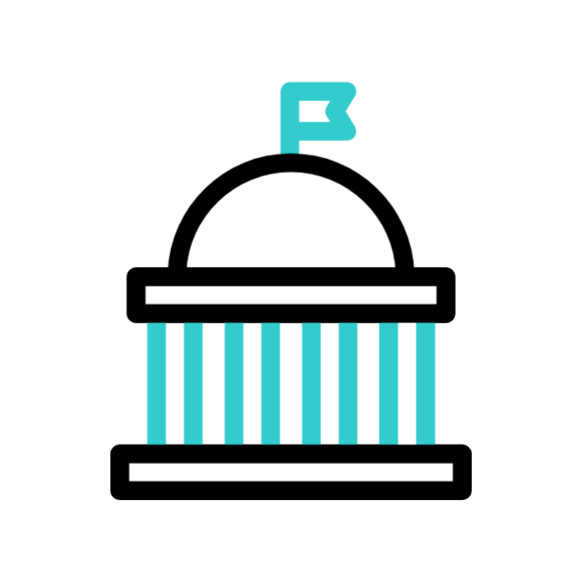 government